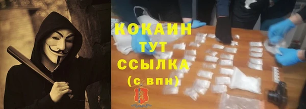 ГАЛЛЮЦИНОГЕННЫЕ ГРИБЫ Бронницы