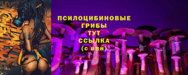 ГАЛЛЮЦИНОГЕННЫЕ ГРИБЫ Бронницы